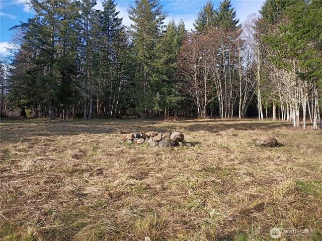 Land for sale in Mossyrock, Washington