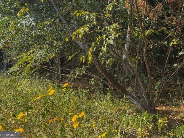 Land for sale in New Era, Americus