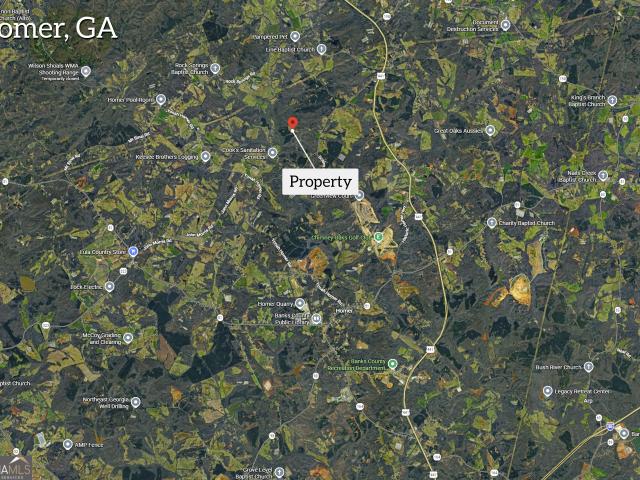 Land for sale in Homer, Banks County