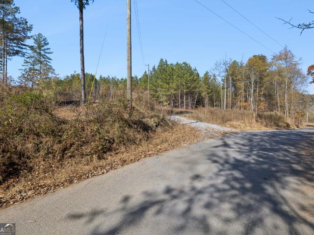 Land for sale in Summerville, Chattooga County