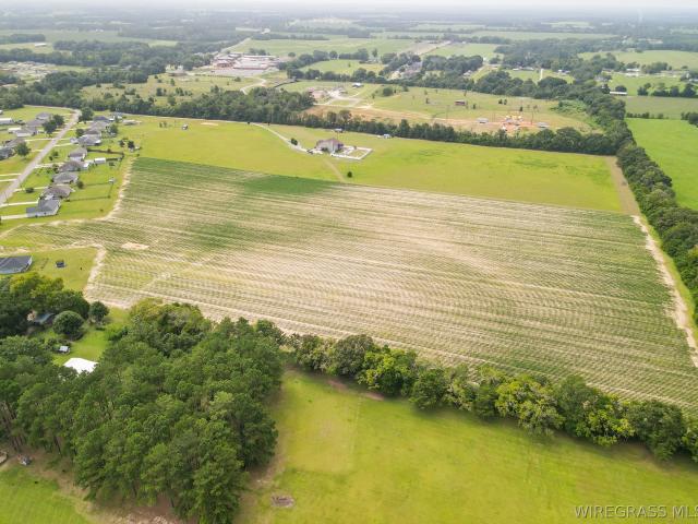 Land for sale in Newton, Alabama