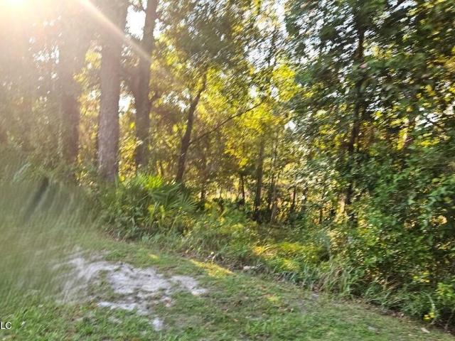 Land for sale in Gautier, Mississippi