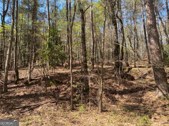 Land for sale in Gray, Georgia