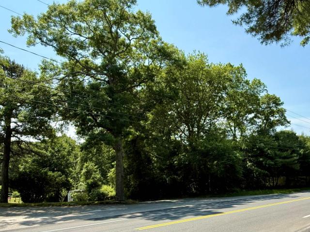 Land for sale in East Falmouth, Massachusetts
