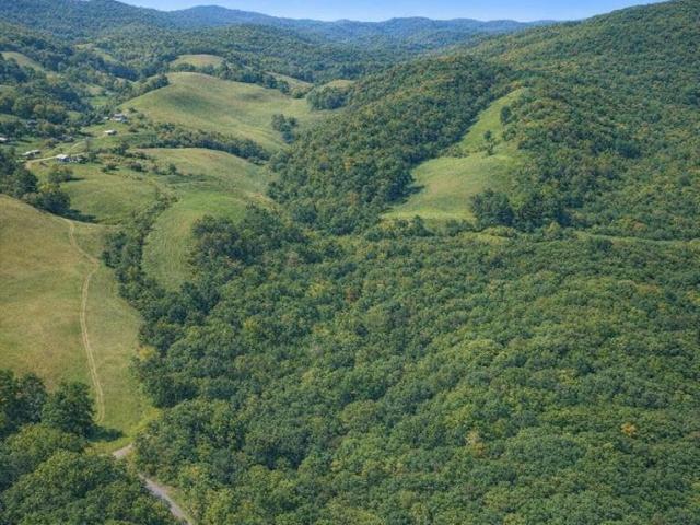Land for sale in Traphill, North Carolina