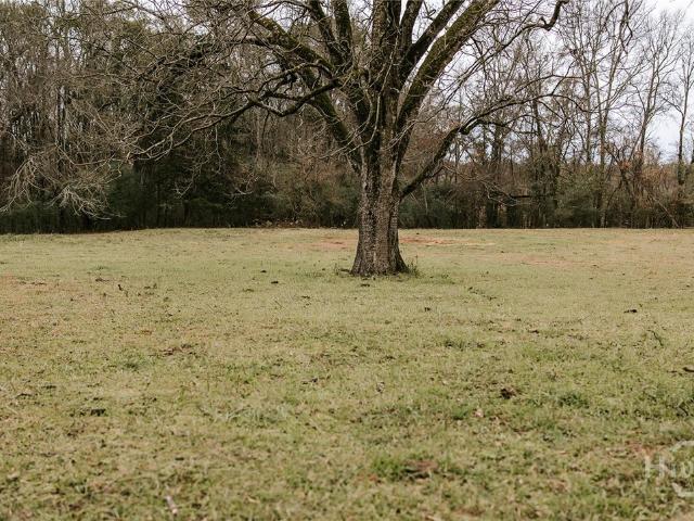Land for sale in Carlton, Georgia