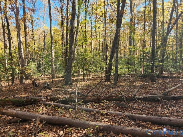 Land for sale in Virginia