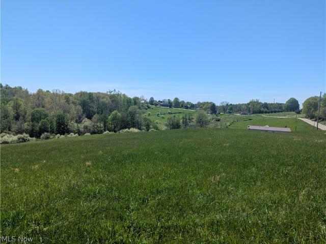 Land for sale in Chesterhill, Ohio