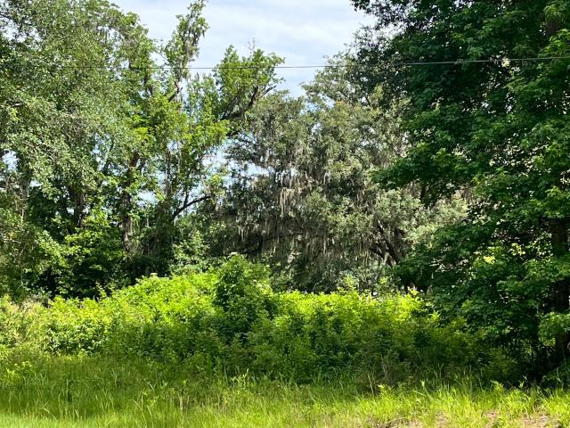 Land for sale in Riceboro, Georgia