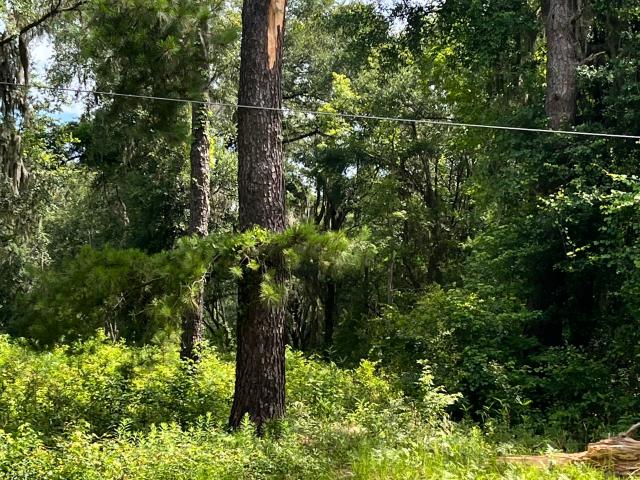 Land for sale in Riceboro, Georgia