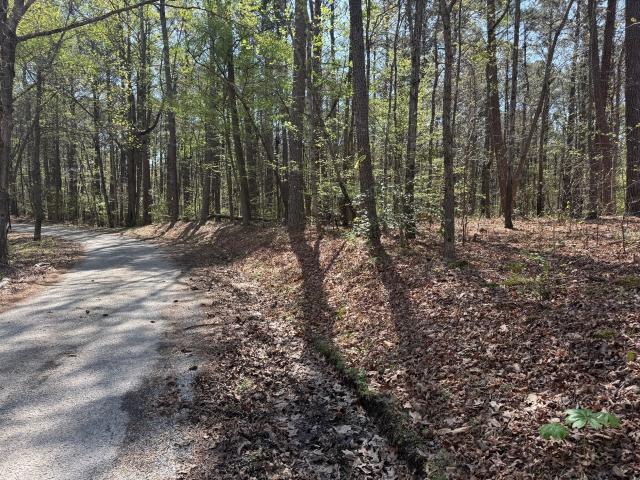 Land for sale in Tennessee