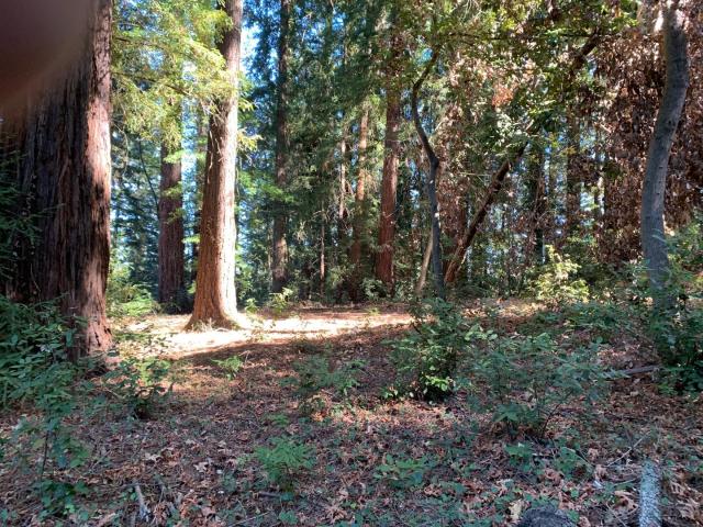 Land for sale in Redwood Estates, California