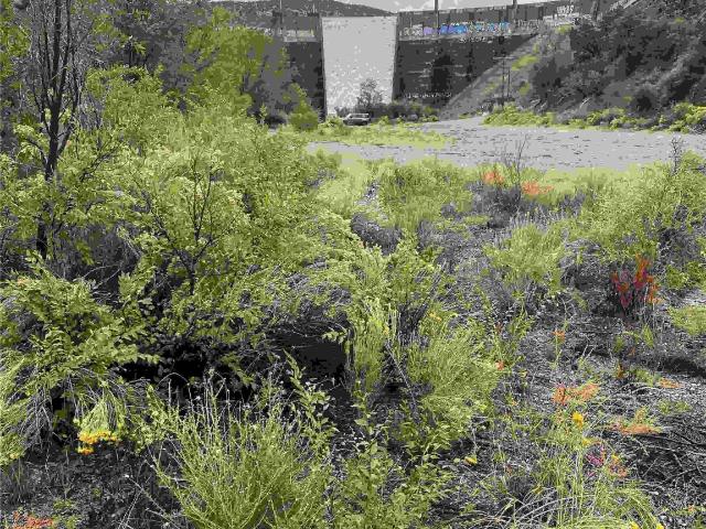 Land for sale in New Mexico