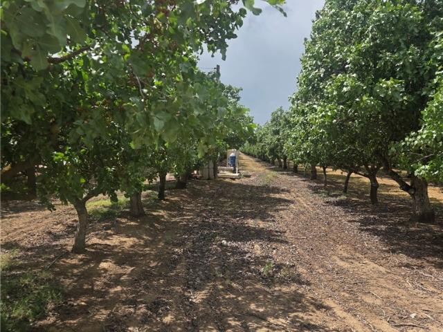 Land for sale in Chowchilla, California