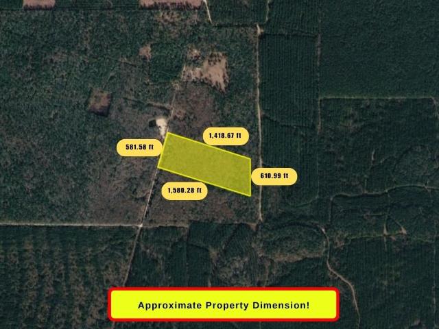 Land for sale in Kountze, Hardin County