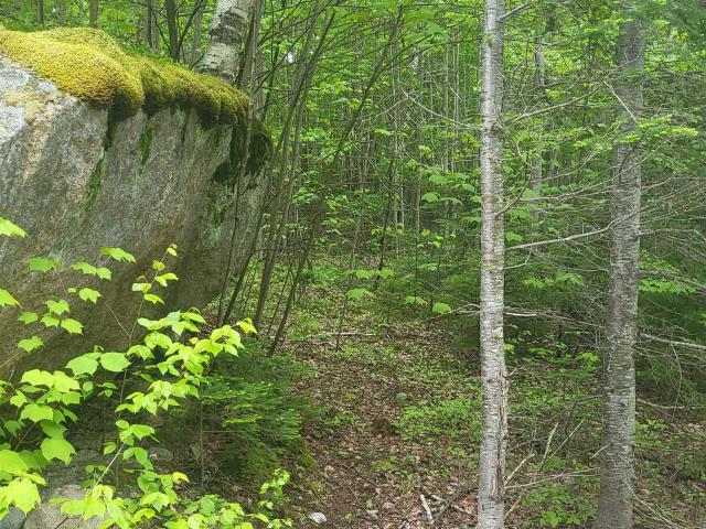 Land for sale in New Hampshire