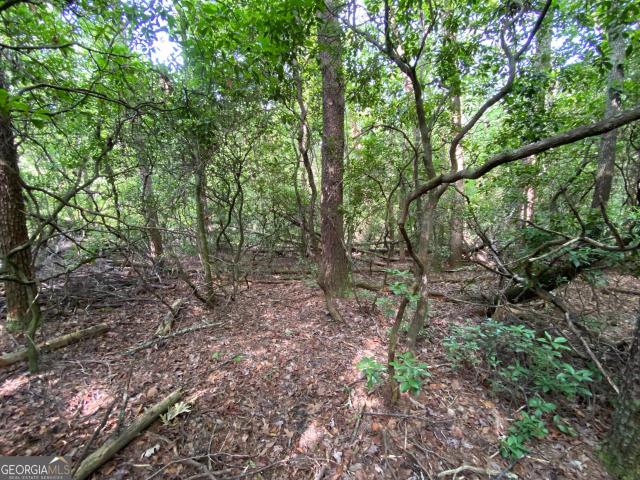 Land for sale in Georgia