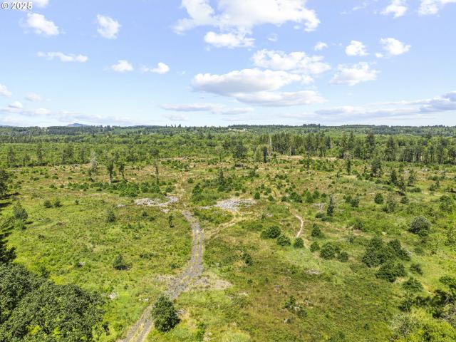 Land for sale in Toledo, Washington