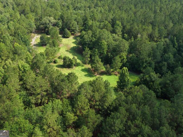 Land for sale in Screven, Georgia