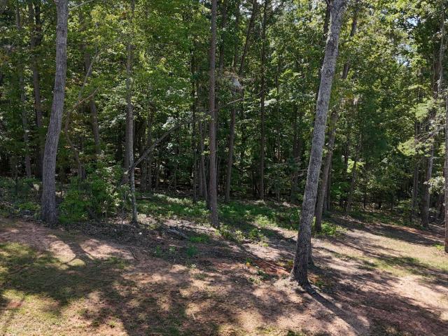 Land for sale in Clarkesville, Georgia