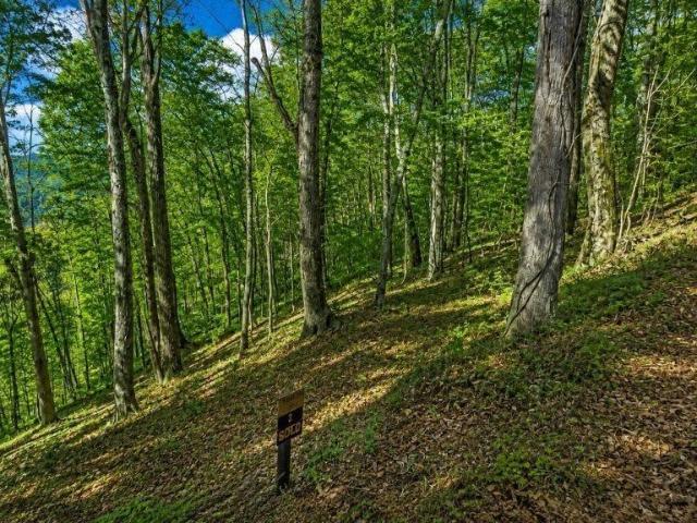 Land for sale in Tennessee