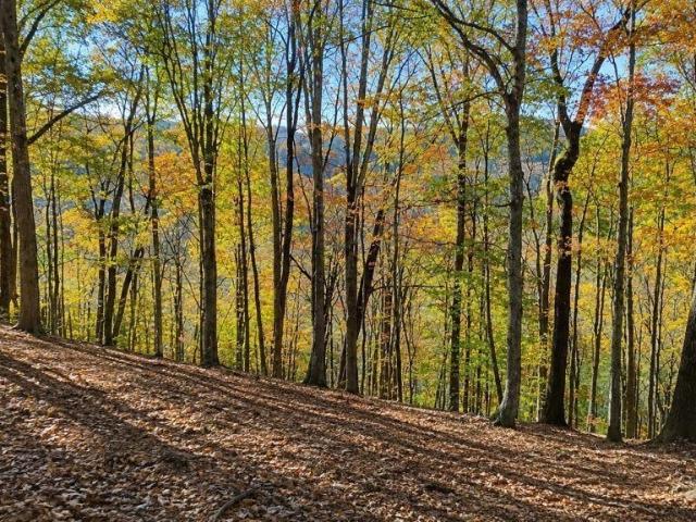 Land for sale in Tennessee