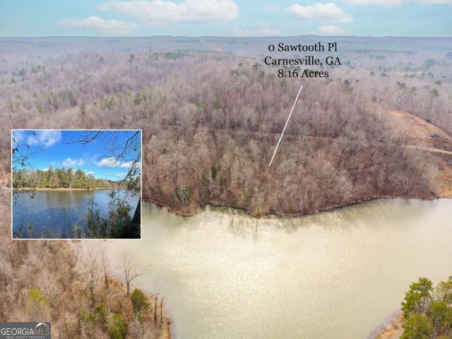 Land for sale in Banks, Georgia
