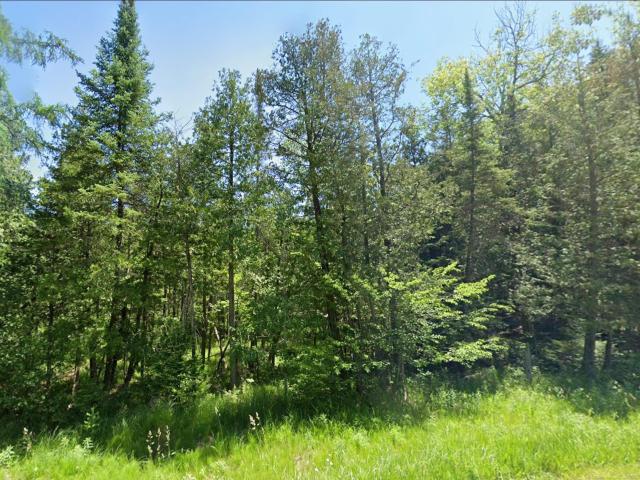 Land for sale in Michigan
