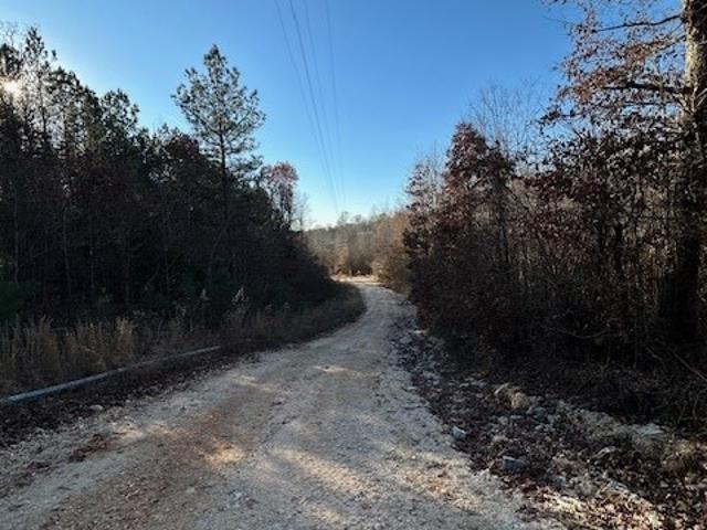 Land for sale in Tennessee
