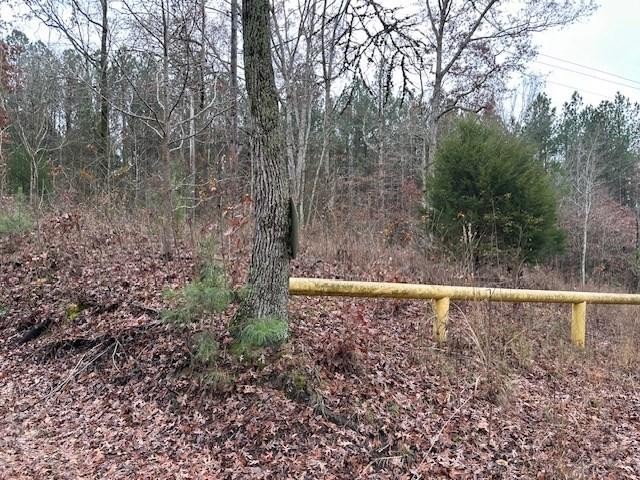 Land for sale in Tennessee