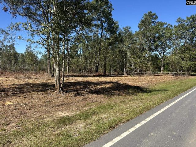 Land for sale in Pomaria, South Carolina