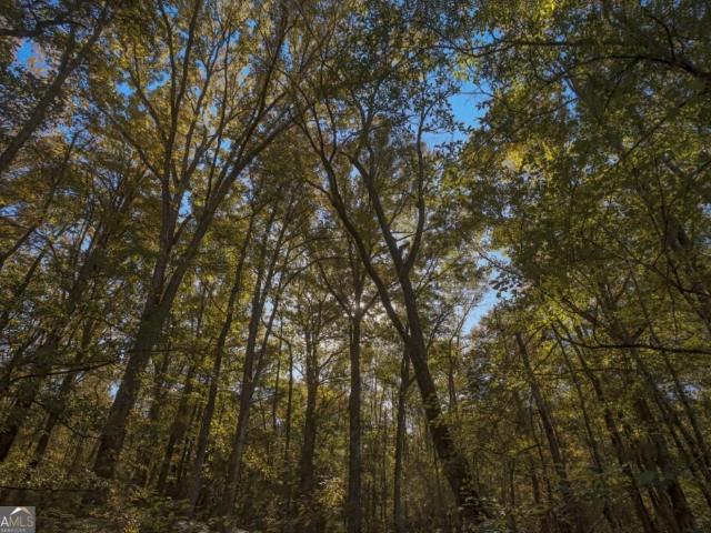 Land for sale in Millen, Georgia