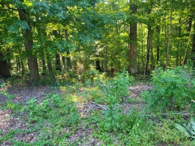 Land for sale in Tennessee
