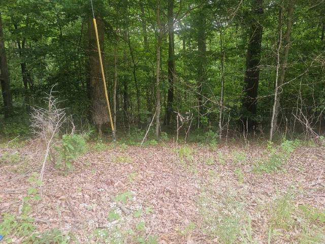 Land for sale in Tennessee