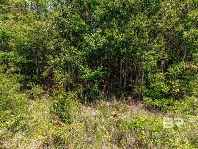 Land for sale in Fairhope, Alabama