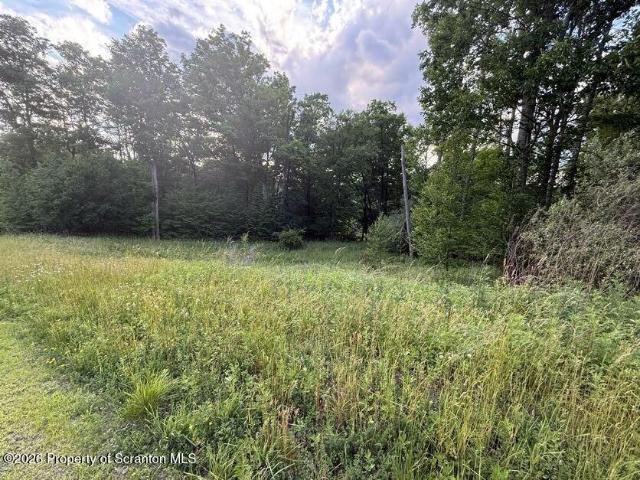Land for sale in Kunkle, Pennsylvania