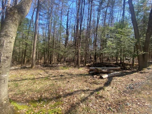 Land for sale in Charlemont, Massachusetts