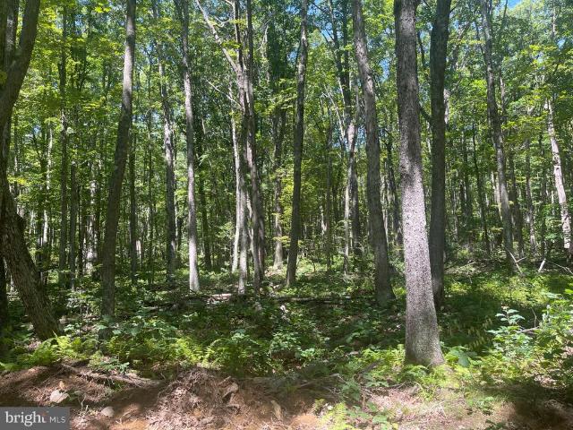 Land for sale in North Potomac, Montgomery County