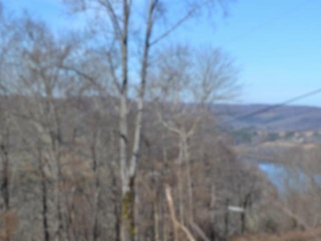 Land for sale in Tennessee