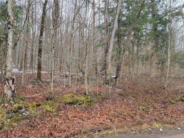 Land for sale in Guilford, New York