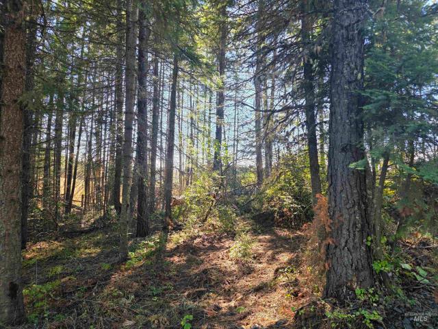 Land for sale in Weippe, Clearwater County