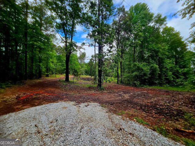 Land for sale in Franklin, Georgia