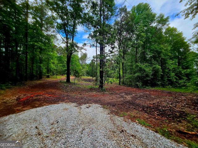 Land for sale in Franklin, Georgia