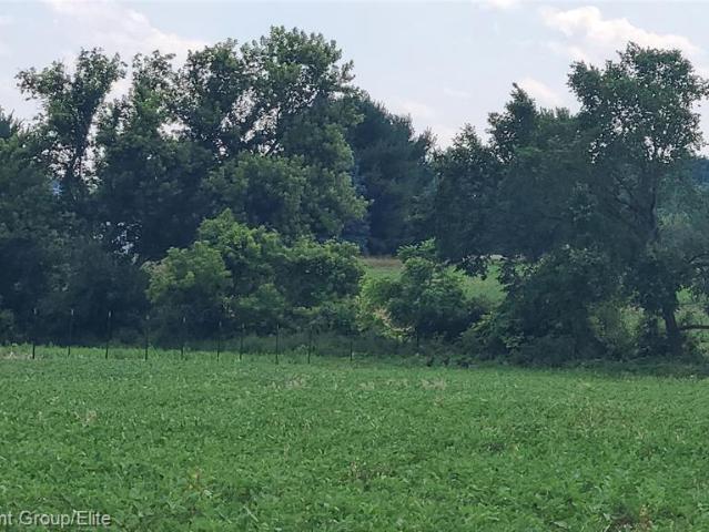 Land for sale in Pinckney, Howell Township