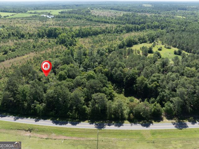 Land for sale in Alamo, Georgia