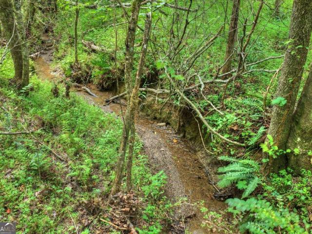 Land for sale in Georgia