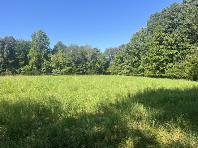 Farm for sale in Iron City, Middle Tennessee
