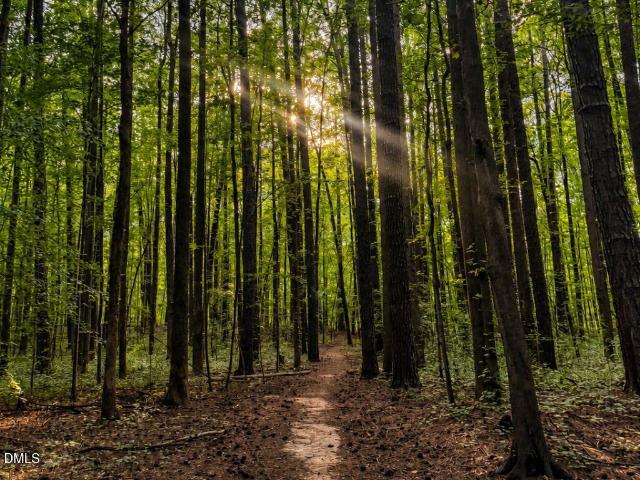 Land for sale in Wake, North Carolina
