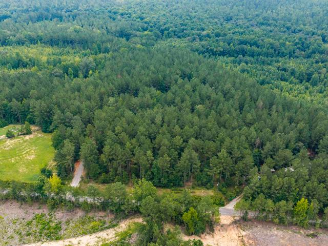 Land for sale in Winnsboro, South Carolina