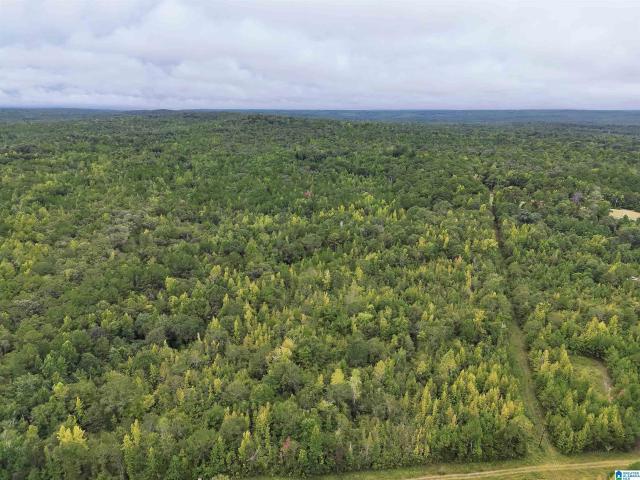 Land for sale in Tallassee, Elmore County